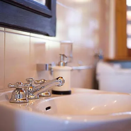 Le Ortensie - * Pisano