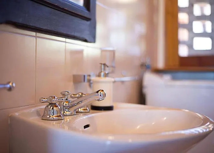 Le Ortensie - * Pisano