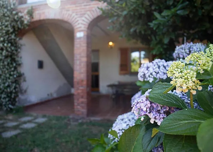 Le Ortensie - Pisano